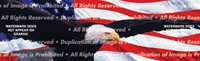 Splendor Patriotic Rear Window Graphic