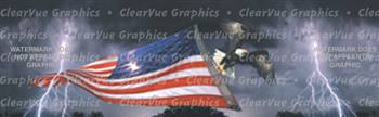 Freedom Flight Patriotic Rear Window Graphic