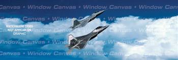 Raptor Rapture Aircraft Rear Window Graphic