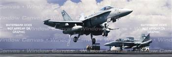 Tailhook Aircraft Rear Window Graphic