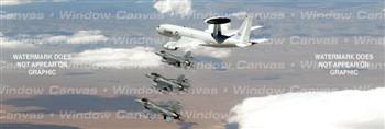 Escort Aircraft Rear Window Graphic