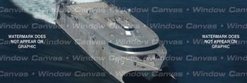 HSV Military Rear Window Graphic