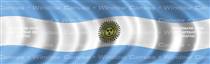 Argentina Flag Rear Window Graphic