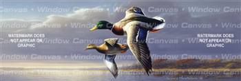 Mallards In Flight Birds & Ducks Rear Window Graphic