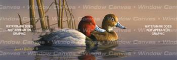 Redheads Birds & Ducks Rear Window Graphic