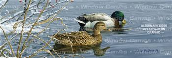 Winter Waters Birds & Ducks Rear Window Graphic