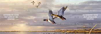 Sundown At Delta Marsh Birds & Ducks Rear Window Graphic