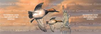 Liberty Canvasbacks Birds & Ducks Rear Window Graphic