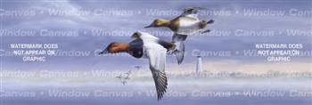 Canvasbacks Birds & Ducks Rear Window Graphic