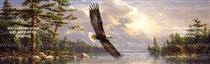 Summertime Eagle Birds & Ducks Rear Window Graphic