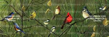 Song Birds Birds & Ducks Rear Window Graphic