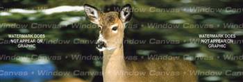 Winter Doe Deer Rear Window Graphic