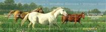 Prarie Meadow Horses Rear Window Graphic