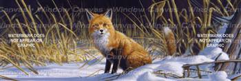 Winter Fox Wildlife Rear Window Graphic