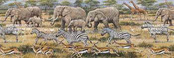 African Safari Wildlife Rear Window Graphic