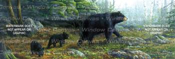 Northern Explorers Wildlife Rear Window Graphic