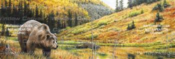 Rock Mountain Grizzly Wildlife Rear Window Graphic