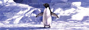 Penguin Wildlife Rear Window Graphic