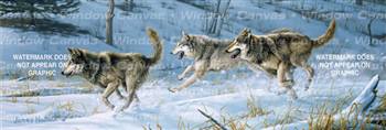 Running Free Wolf Rear Window Graphic