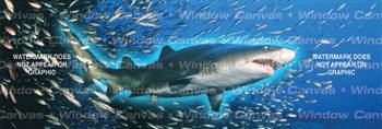 Unwelcome Visitor Ocean Life Rear Window Graphic