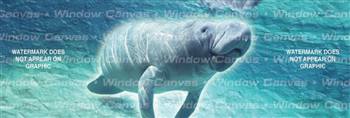 Manatee Ocean Life Rear Window Graphic