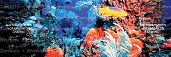 Tropical Reef Ocean Life Rear Window Graphic