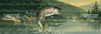 Rainbow Trout Fishing Rear Window Graphic