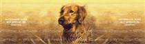 Golden Portrait Dog Rear Window Graphic
