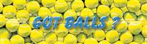 Got Balls? Sporting Life Rear Window Graphic
