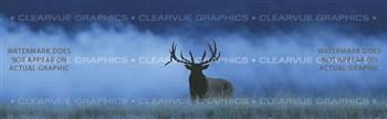 Elk in Fog Wildlife Rear Window Graphic