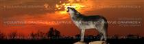 Howling at Sunset Wildlife Rear Window Graphic