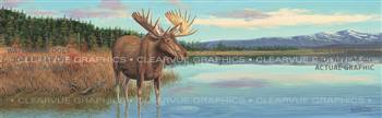 Moosetique Wildlife Rear Window Graphic