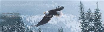Free Flight Wildlife Rear Window Graphic