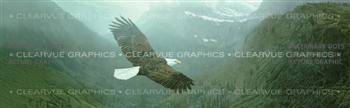 Into The Mist Wildlife Rear Window Graphic