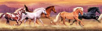 Horse Stampede Wildlife Rear Window Graphic