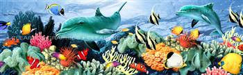 Coral Reef Wildlife Rear Window Graphic