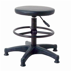 Posing Stool with Foot Rest