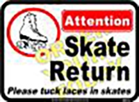 Skate Return (12"x16")