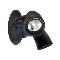 Dual-Lite CPRDB0605 6V, 5W Halogen Decorative Indoor Remote Lighting Head, Double Heads, Black Finish