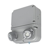 Dual-Lite DYN12I-06L 12W Industrial High Lumen LED Emergency Light, Spectron Self-Diagnostics, Wet Location, 6W LED Lamps