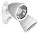 Dual-Lite OCRDW0603L 6V, 3W LED Decorative Outdoor Remote Lighting Head, Wet Location, Double Heads, White Finish