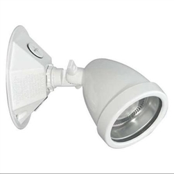Dual-Lite OCRSW1203L 12V, 3W LED Decorative Outdoor Remote Lighting Head, Wet Location, Single Head, White Finish