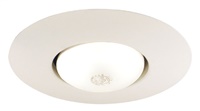 Juno Recessed Lighting 250-WH (250 WH) 6" Line Voltage, Open Frame Trim with BR30 Lamp, White Trim