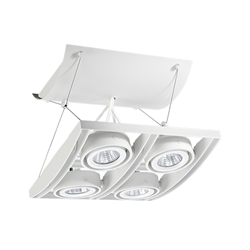 Juno Track Lighting XT16404-20H-WH AVIO Four Lamp - HID Metal Halide 20W CMH MR16 GX10 Quad Unit, White Color