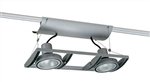 Juno Track Lighting XT30201SL AVIO Two Lamp - Line Voltage 35-75W PAR30 Unit, Silver Color