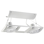 Juno Track Lighting XT30201WH AVIO Two Lamp - Line Voltage 35-75W PAR30 Unit, White Color