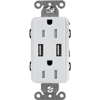 Lutron SCR-15-UBTR-MIClaro 15A Dual USB Receptacle, Tamper Resistant in Mist