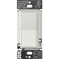 Lutron ST-RD-LG PRO Companion Dimmer in Lunar Gray
