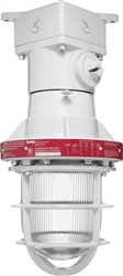 RAB EX124T 300W Explosionproof Ceiling Fixture with Die Cast Guard, 8 Hub Count, 1/2" H Hub Size, Silver Gray Finish