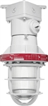 RAB EX124T-3/4 300W Explosionproof Ceiling Fixture with Die Cast Guard, 8 Hub Count, 3/4" H Hub Size, Silver Gray Finish